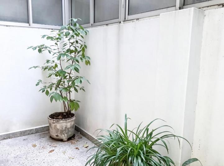 Departamento · 55m² · 3 Ambientes