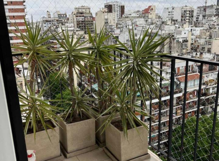 Departamento · 60m² · 3 Ambientes