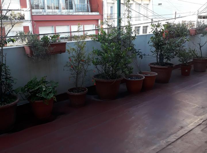 Departamento · 126m² · 5 Ambientes