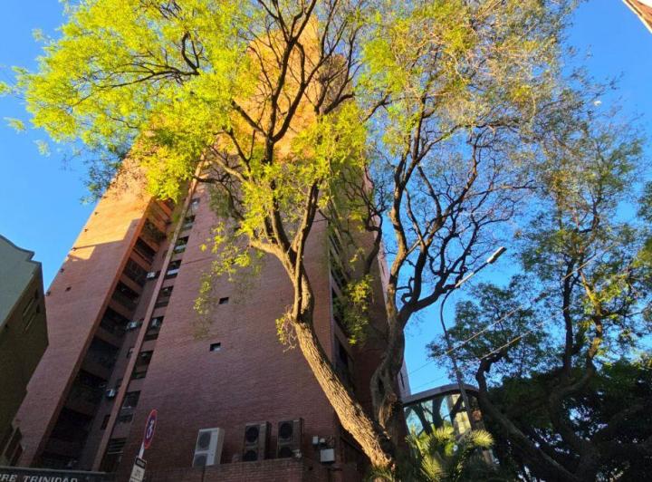 Departamento · 45m² · 2 Ambientes · 1 Cochera