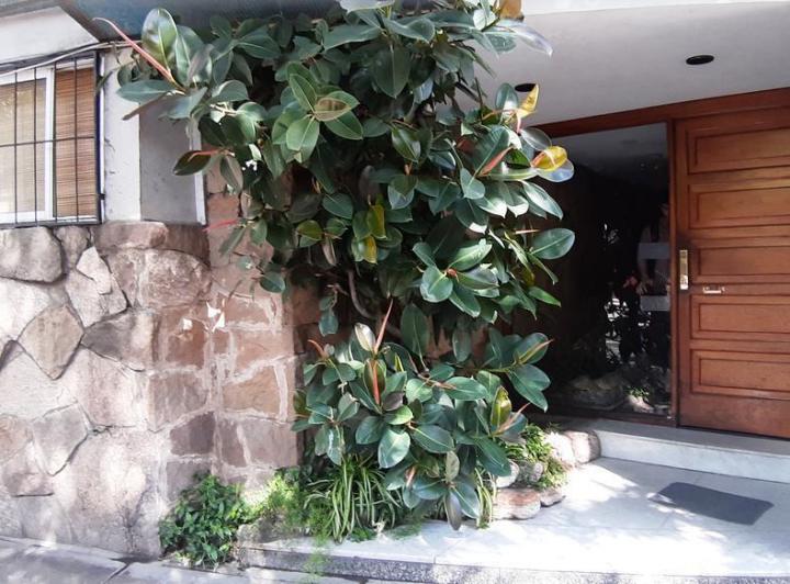 Departamento · 37m² · 2 Ambientes