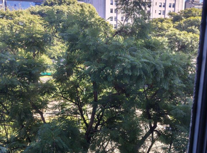 Departamento · 45m² · 2 Ambientes