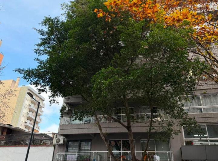 Departamento · 33m² · 2 Ambientes