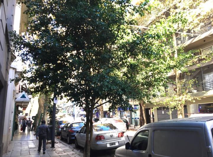 Departamento · 39m² · 2 Ambientes