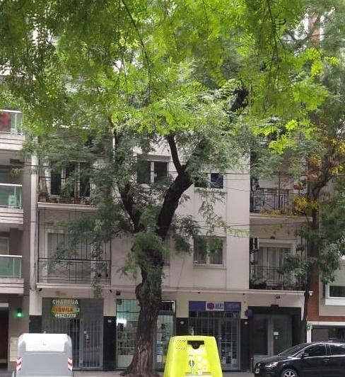 Departamento · 57m² · 3 Ambientes