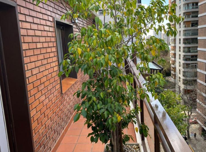 Departamento · 180m² · 4 Ambientes · 1 Cochera