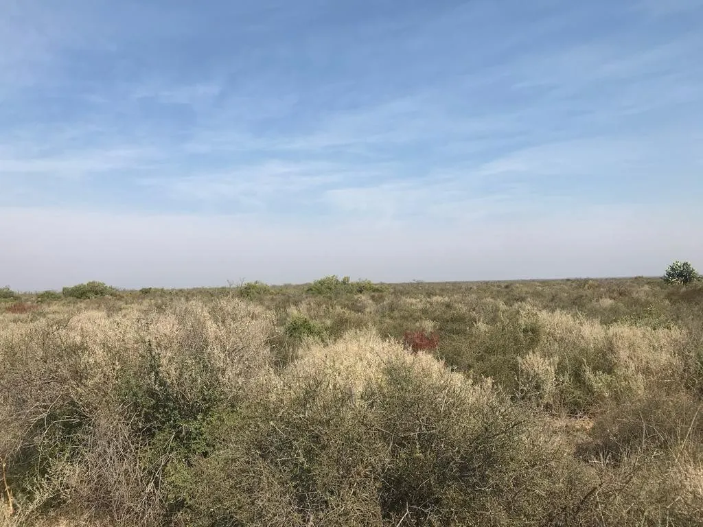 CAMPO EN VENTA – 2.113 HECTÁREAS – VALLE DE MARÍA, RÍO SECO, CÓRDOBA