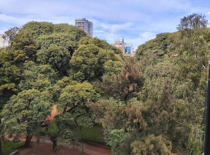 Departamento · 85m² · 3 Ambientes
