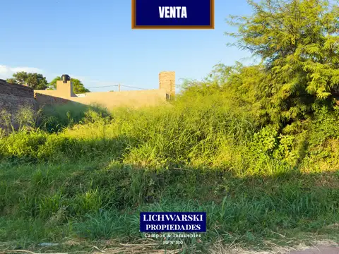 Terreno en Venta en Charata, Chacabuco