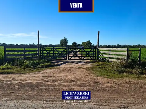 Campo en Venta en Napenay, Independencia