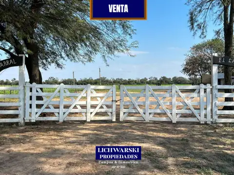 Campo en Venta en Napenay, Independencia