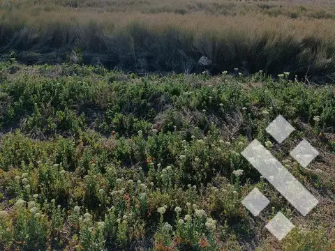 Terreno en Venta en Cipolletti, General Roca