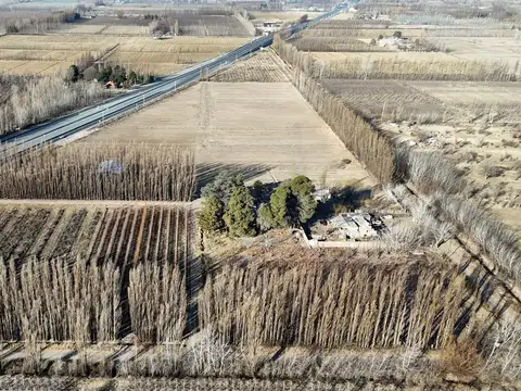 Terreno en Venta en General Fernández Oro, General Roca