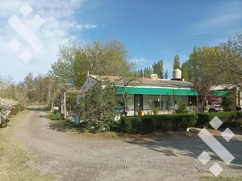 Campo en Venta en Cipolletti, General Roca