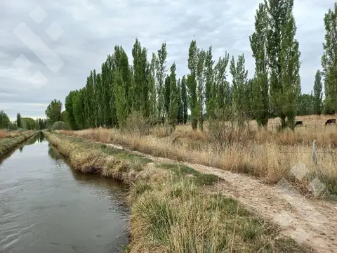 Campo en Venta en Lamarque, Avellaneda