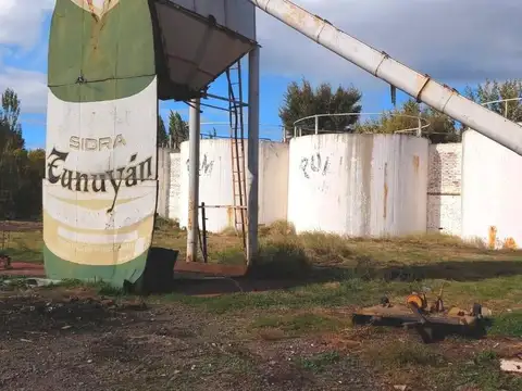Galpón en Venta en General Roca, Río Negro