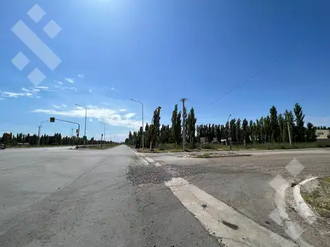 Terreno en Alquiler en Plottier, Confluencia