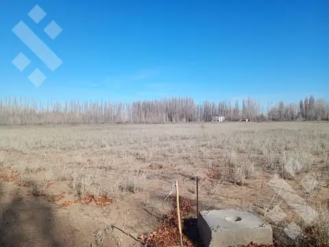 Terreno en Venta en Plottier, Confluencia