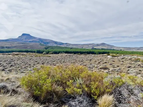 Terreno en Venta en Junin de los Andes, Huiliches