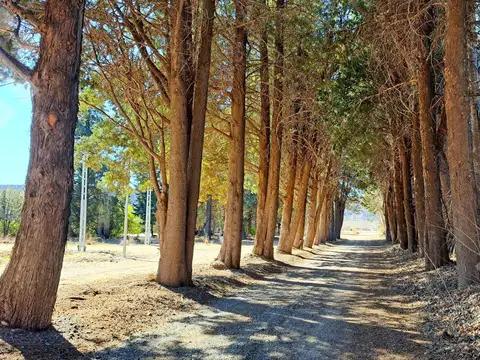 Terreno en Venta en Plottier, Confluencia