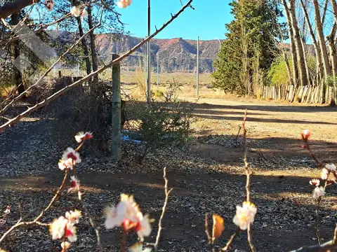 Terreno en Venta en Plottier, Confluencia