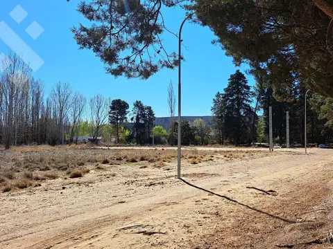 Terreno en Venta en Plottier, Confluencia