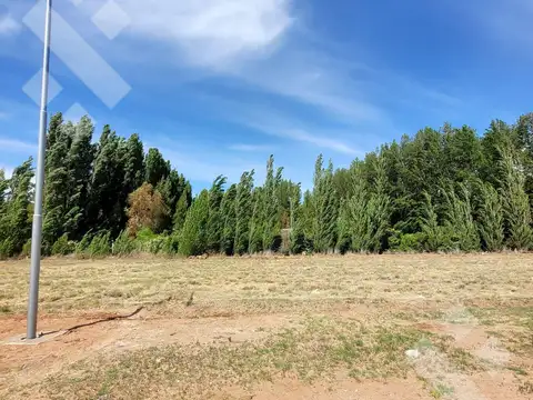 Terreno en Venta en Plottier, Confluencia