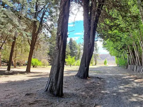 Terreno en Venta en Plottier, Confluencia