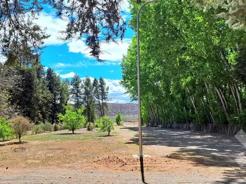 Terreno en Venta en Plottier, Confluencia