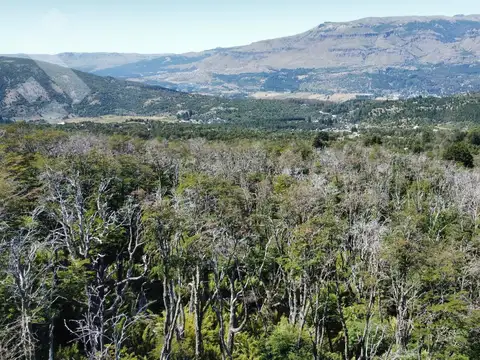 Terreno en Venta en Caleuche, San Martín de los Andes