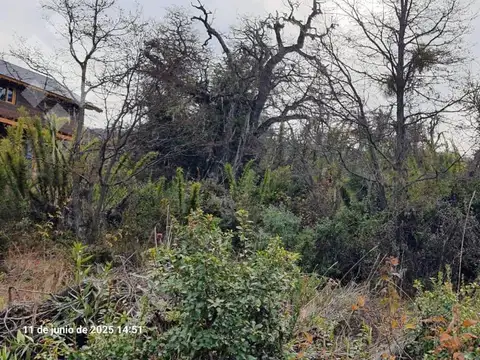 Terreno en Venta en Caleuche, San Martín de los Andes