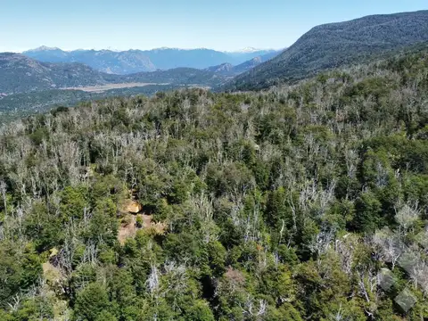 Terreno en Venta en Caleuche, San Martín de los Andes