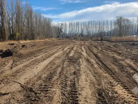Terreno en Venta en Plottier, Confluencia