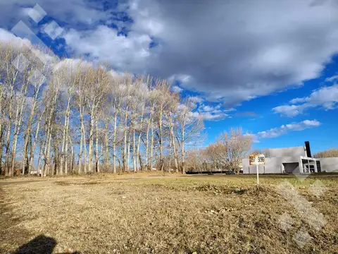 Terreno en Venta en Plottier, Confluencia