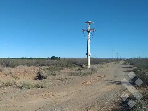 Campo en Venta en Senillosa, Confluencia