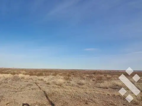 Campo en Venta en Senillosa, Confluencia