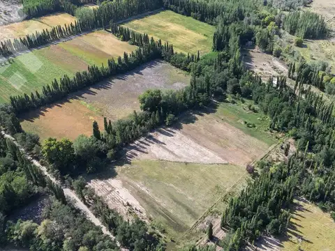 Campo en Venta en Plottier, Confluencia
