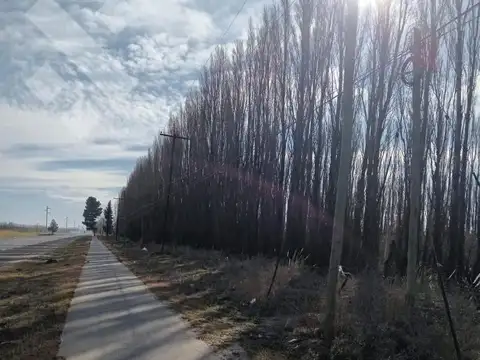 Campo en Venta en San Patricio del Chañar, Añelo