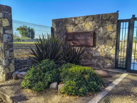 Terreno en Venta en Calle Terrada, Luján de Cuyo