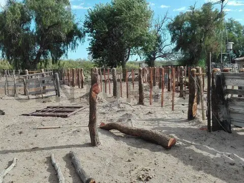 Campo en Venta en San Rafael, Mendoza