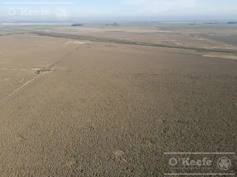 Campo en Venta en Rosario, Santa Fe
