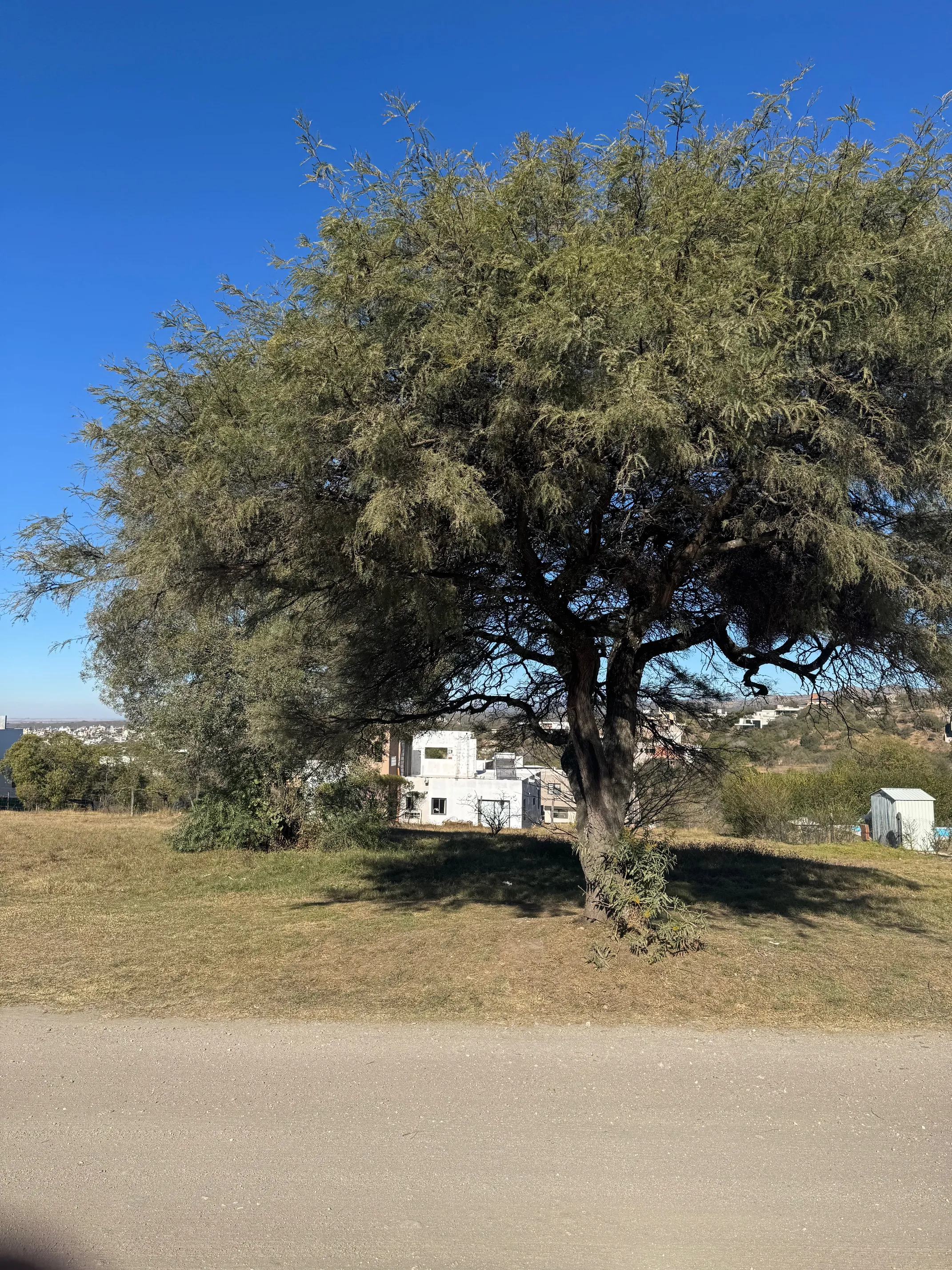 Tierra Alta, 2 lotes contiguos en zona consolidada del barrio. 800 m2 c/u