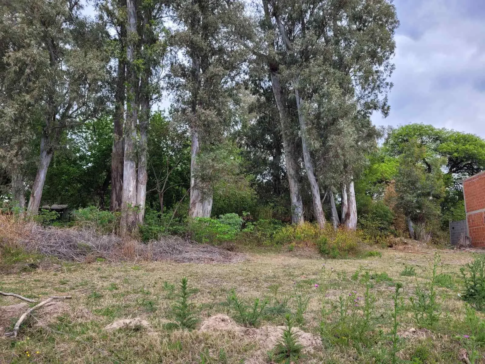 TERRENO VENTA LA CALERA 890 MTS