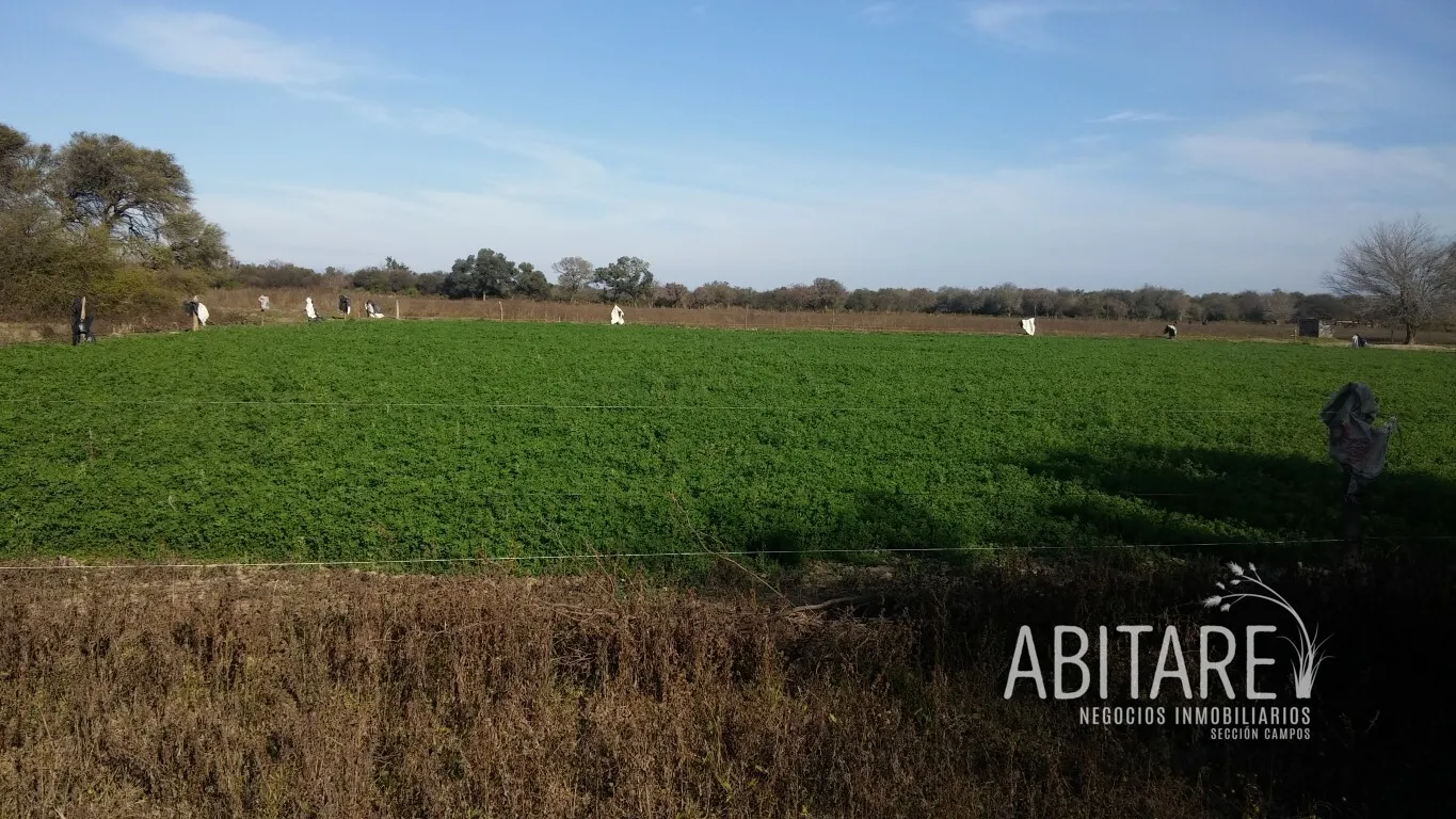 Campo en Los Pereyra, Santiago del Estero | 188 ha con riego
