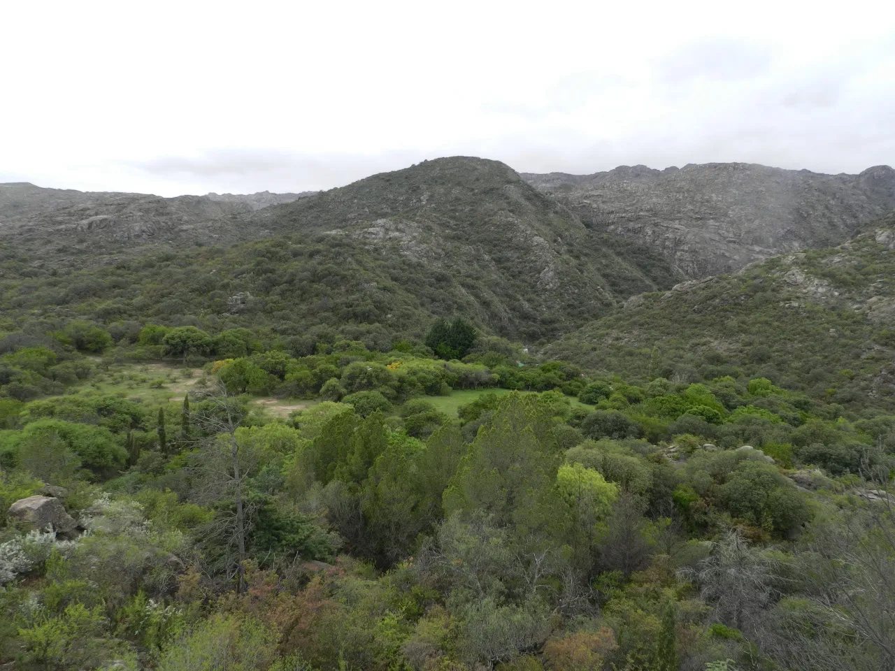 CAMPO TURÍSTICO EN VENTA EN NONO CON RÍOS 100 HAS