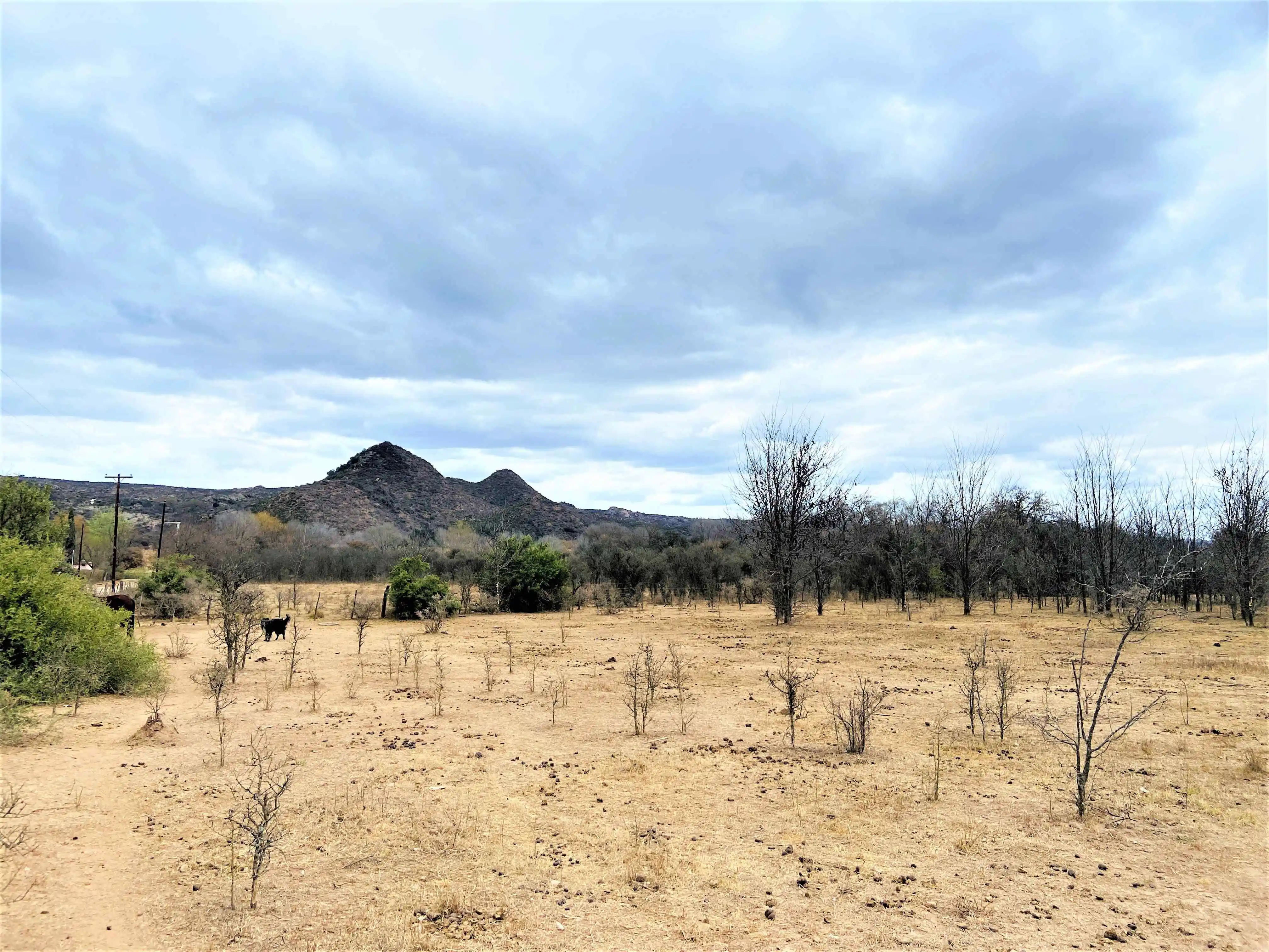 NONO - MTS DEL RIO LOTE 7.500m2 - ESCRITURA - REC. MENOR -  BAJO EL MOLINO