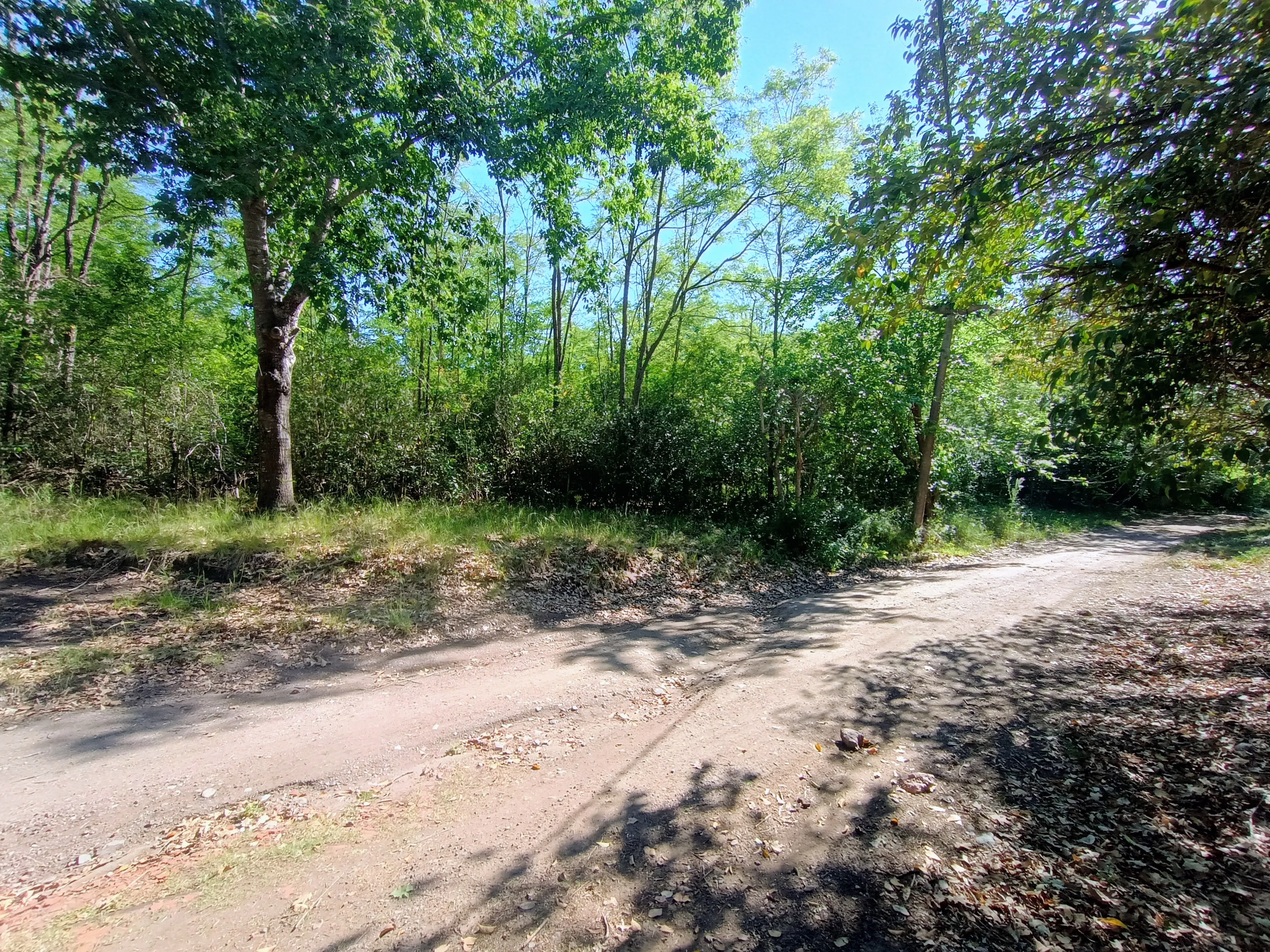 Lote en La Granja .Sup  2866 mts . con servicios , calle las Violetas .
