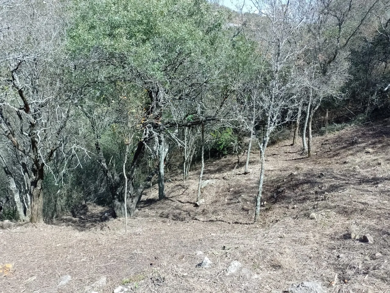 QUE ESPERAS PARA VIVIR EN LAS SIERRAS