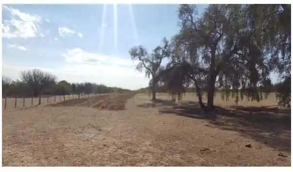 CAMPO EN VENTA - SAN LUIS - LAS ZANJITAS