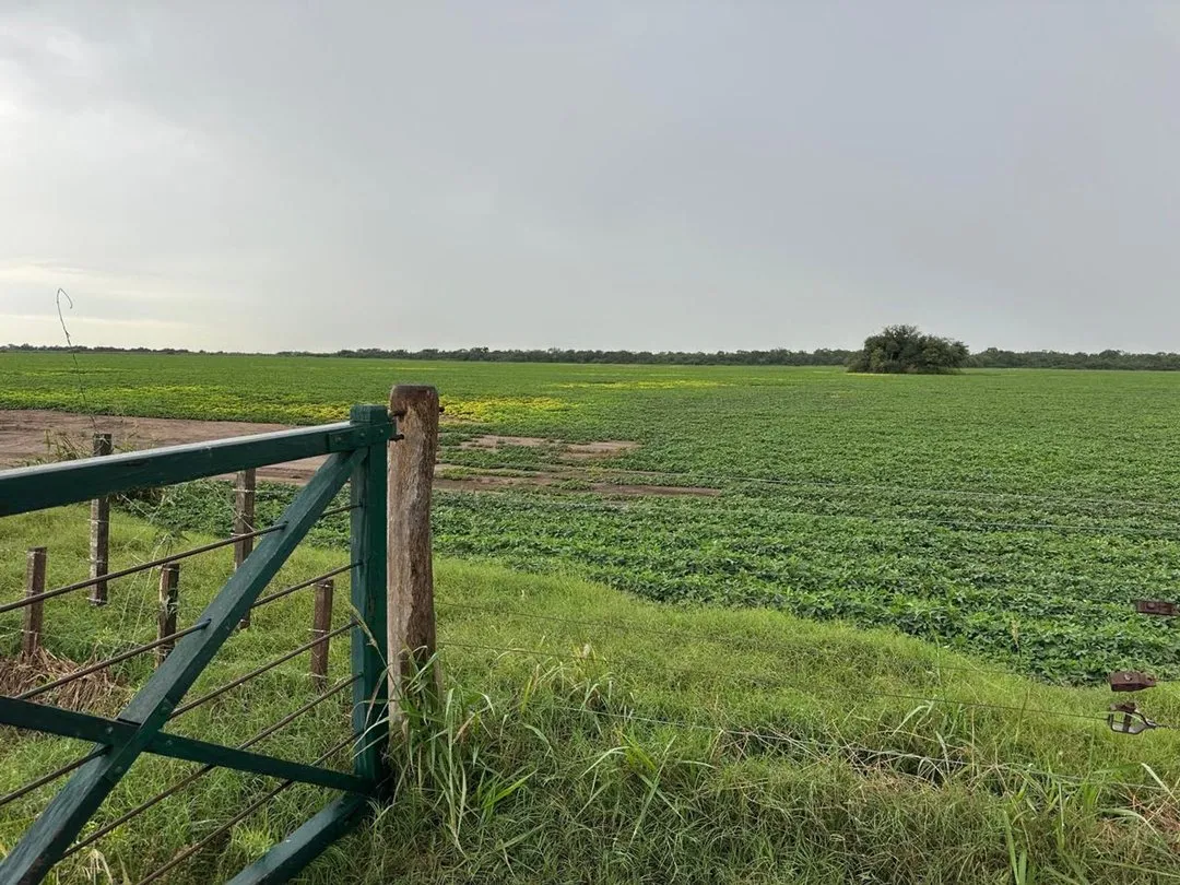 CAMPO MIXTO 385 HAS CORDOBA RIO PRIMERO CASA GALPON CORRALES  VENTA
